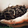 How to start composting: The ultimate guide